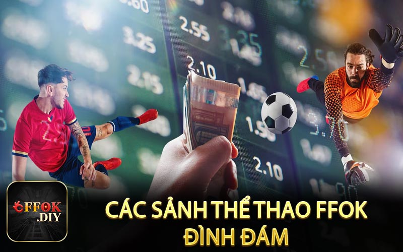 Các sảnh thể thao FFOK đình đám